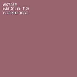 #97636E - Copper Rose Color Image